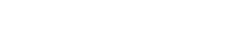 PG Bison